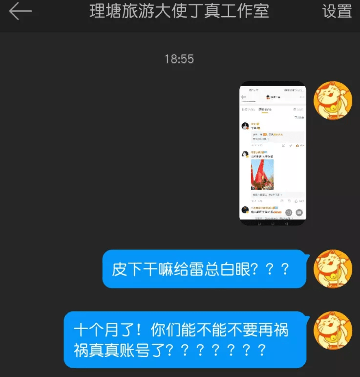 账号|丁真推广手机惹争议，本人账号回复雷军白眼表情，被骂后才修改
