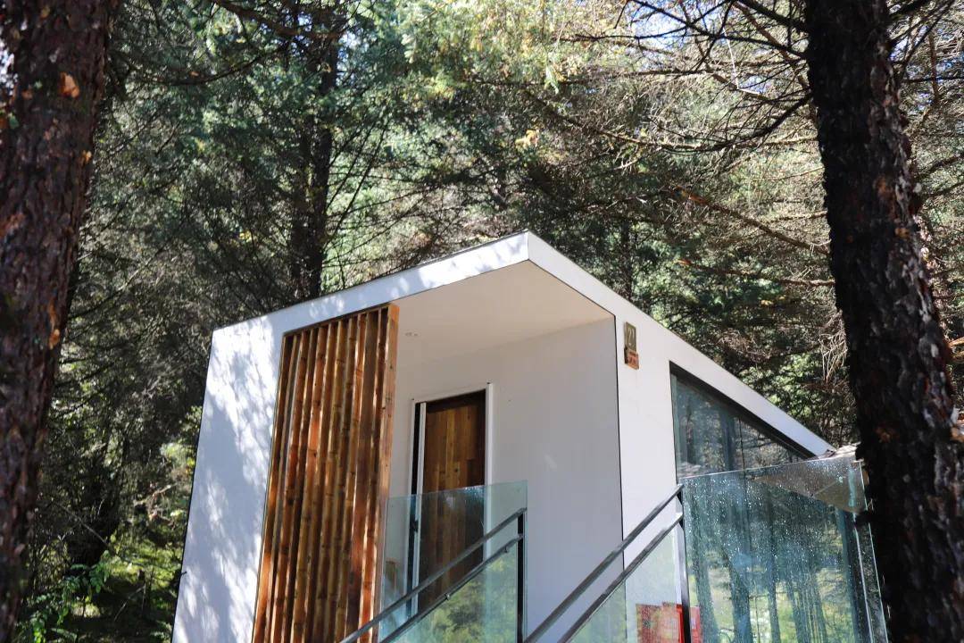 九寨沟:森林地球仓开业啦!沐浴秋风,赏尽秋色