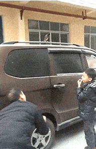 搞笑GIF:一看這就是一頭不正經的老牛 搞笑整蠱 第3张