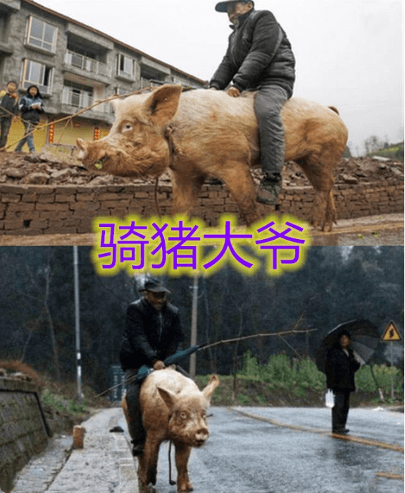 伏魔战记坐骑排行_伏魔记势力选择_逗游网