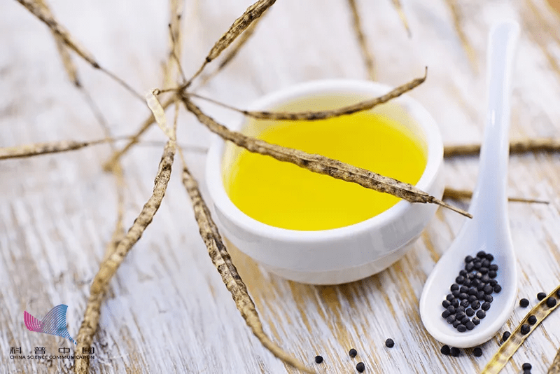 脂肪酸|花生油、玉米油、菜籽油有啥区别？开封超过这个时间，赶紧扔！