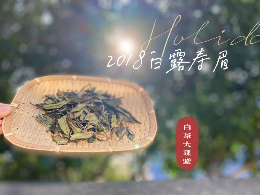 茶叶|为什么白茶泡了2次就淡了，耐泡度不如红茶和岩茶？真相来了