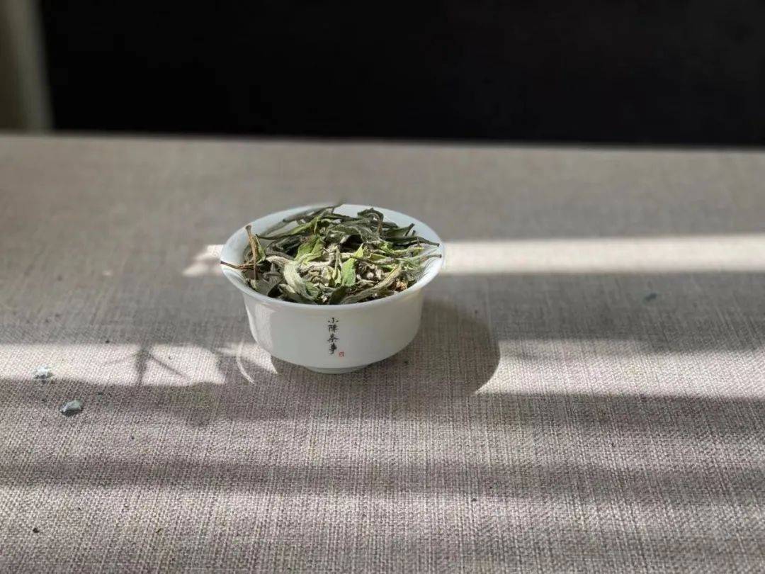 茶叶|为什么白茶泡了2次就淡了，耐泡度不如红茶和岩茶？真相来了