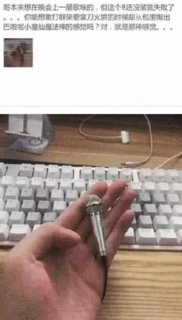 话筒 比“差评”还恐怖的买家秀,迷你小话筒,网友:这也太过分了