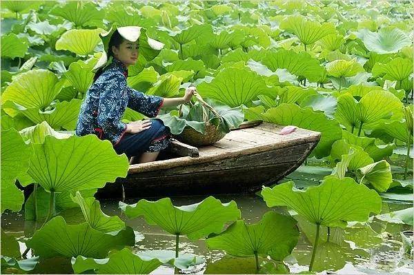 乡思|“秋光点点蛛丝雨” 品味诗词里的最美秋天~！