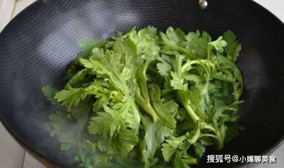 什么菜不喜阳光又好养 e8ca6fe795724a2290554ab0e6354148.jpeg
