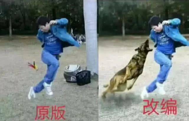 爆笑GIF：卡住姐姐的不是胖，而是你的好身材 搞笑整蠱 第7张