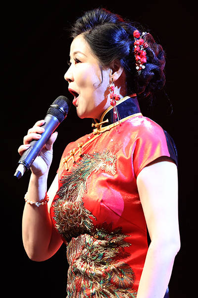 观众|我爱你中国 海之花·潘幽燕音乐会 获得圆满成功