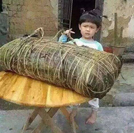 高个|搞笑GIF:你看你非要倒着开,现在好了吧