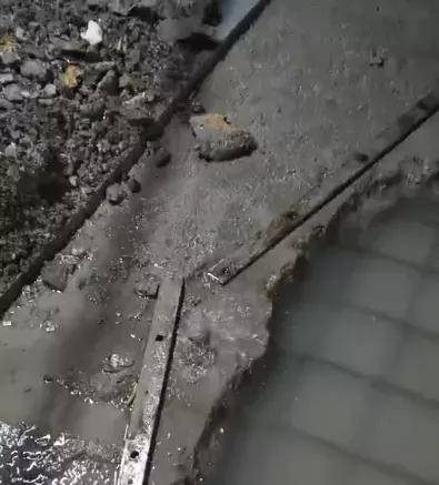 89108fce731d422fb376bd20f9437de9.jpeg