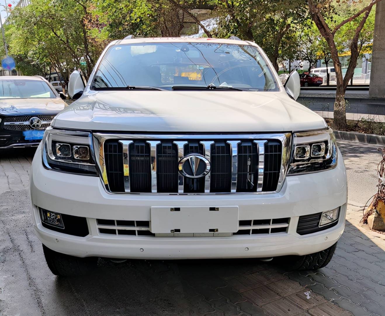 国产猛兽配v8发动机上市却遥遥无期