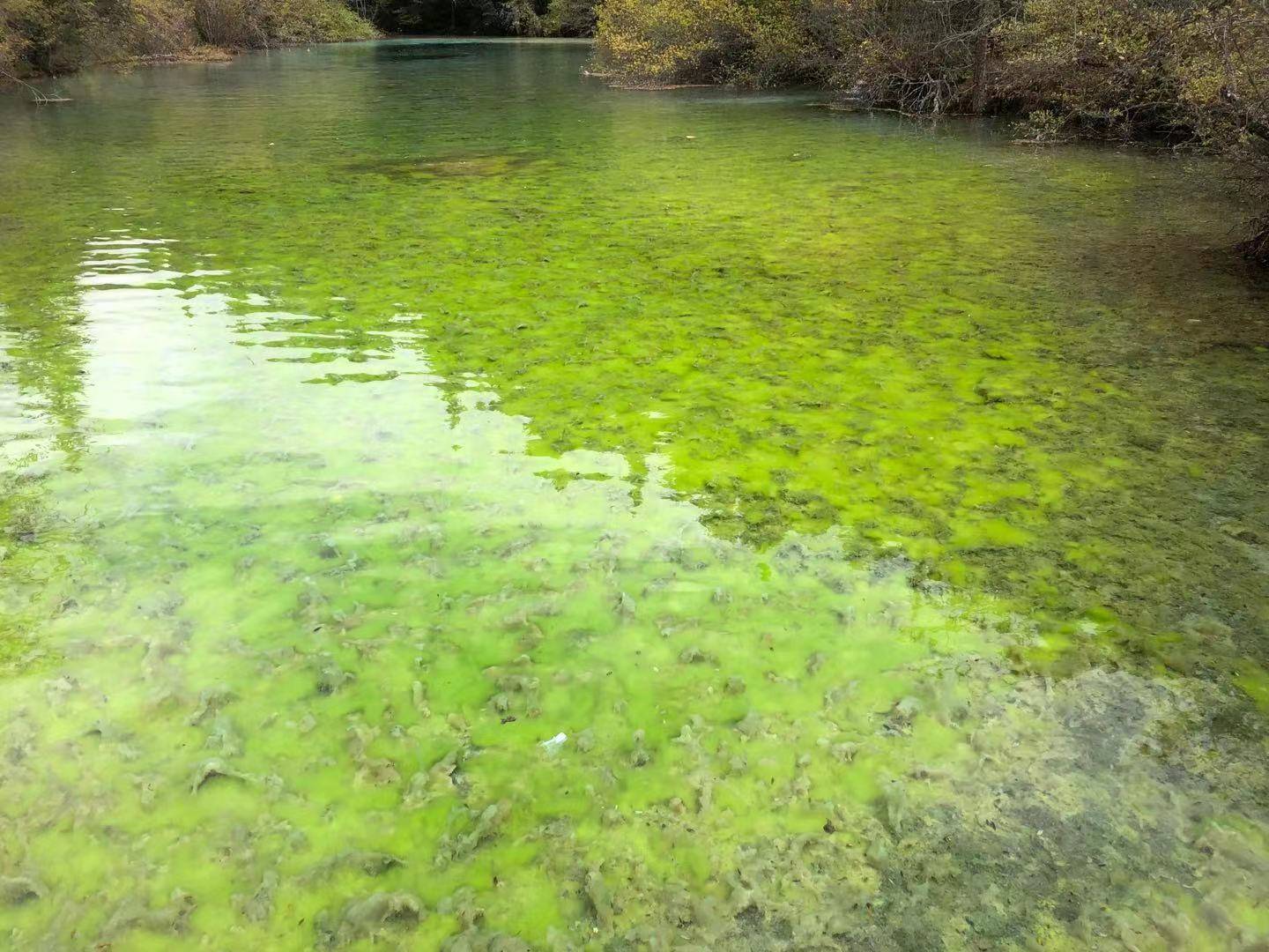 永佑|黄龙景区赋