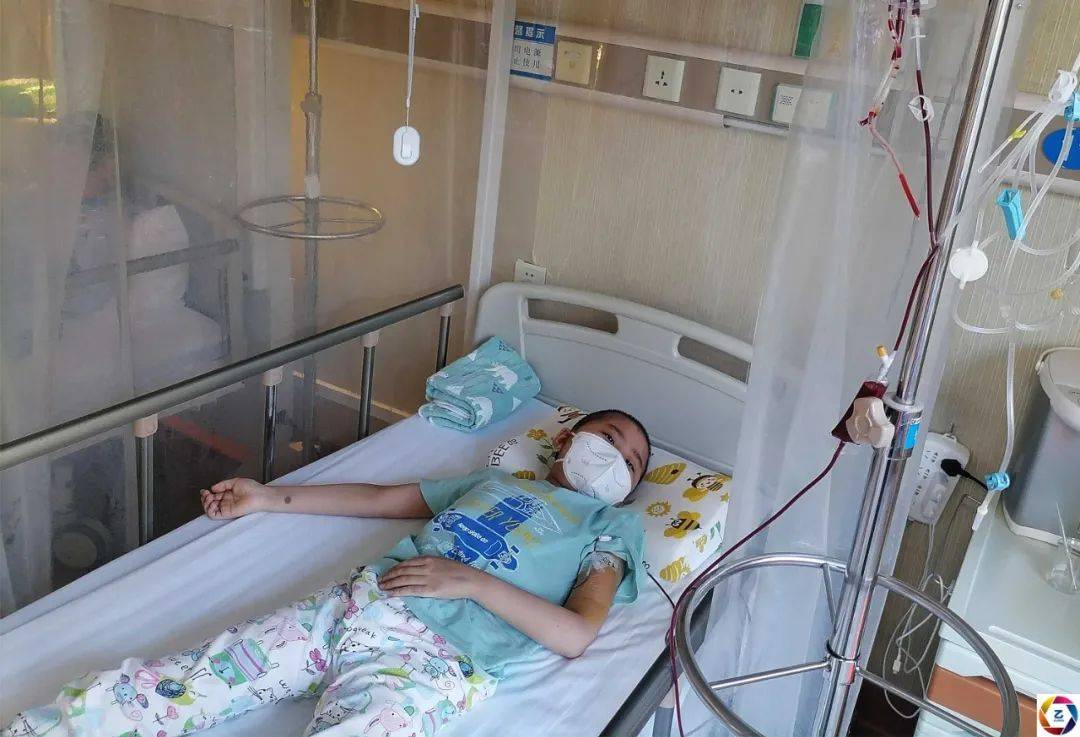 一家人|福建十岁男孩一边做骨穿一边玩手机，一副淡定的样子让人心疼