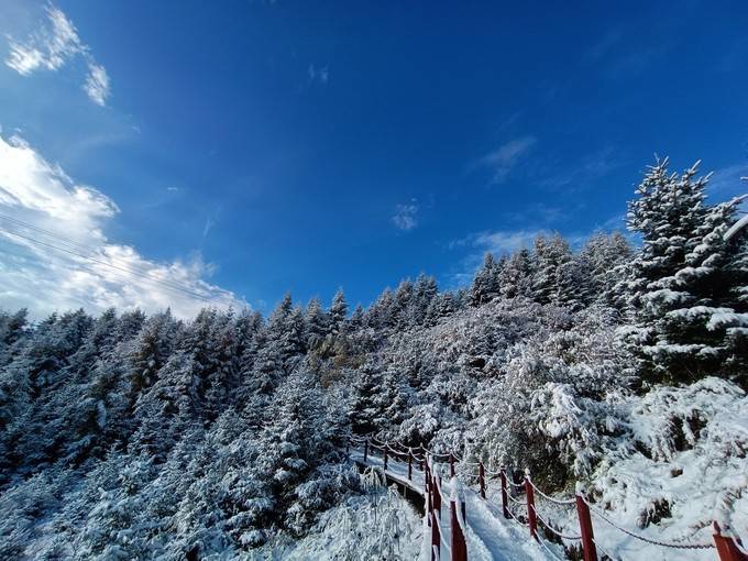 2021年初雪已到货!法台山雪景刷屏,美到窒息.