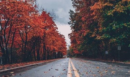 粗细|天气渐凉,这件事肾友们可不要忽略!