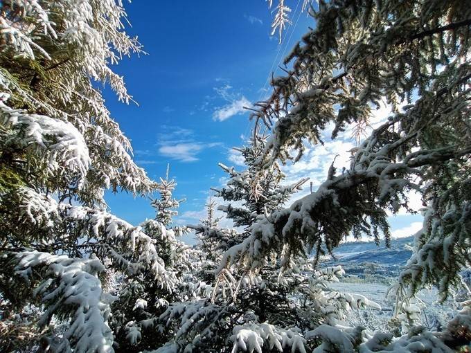 2021年初雪已到货!法台山雪景刷屏,美到窒息.