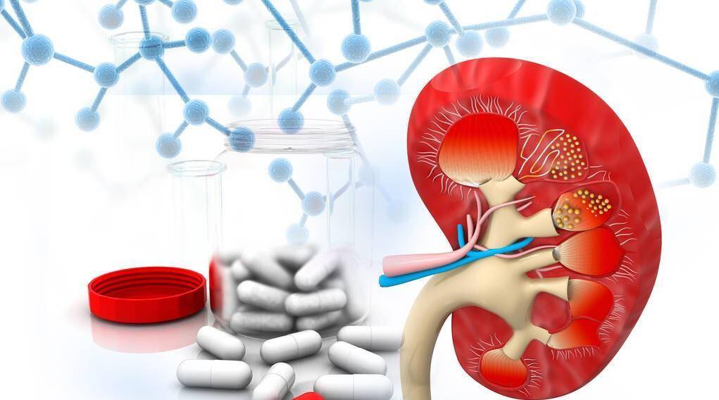 肾脏|长期服用他汀类药物，需要注意什么风险，对肾脏有损伤吗？