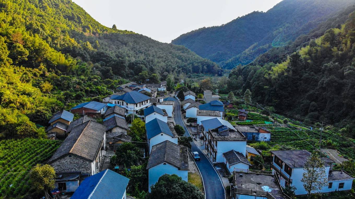 桃花源记地址: 江西 省 九江 市 庐山 市海会镇书院的绿化做的还是