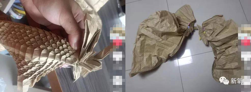 出圈陈晓得了折纸界奥斯卡大奖，这也太绝了吧！