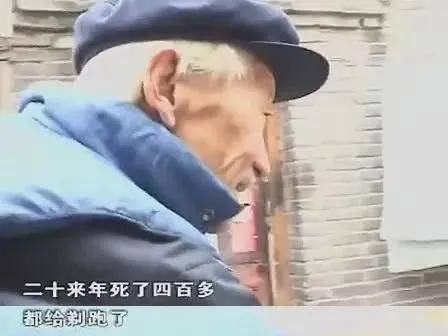 电影|九旬老头，一刀送走400多人，这9.1分的片，这么猛的吗？