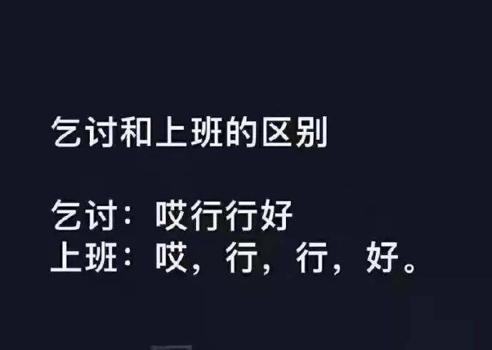 狗的白眼 1,有一次坐地铁,旁边的阿姨电话响了,接起来说"我忙着呢