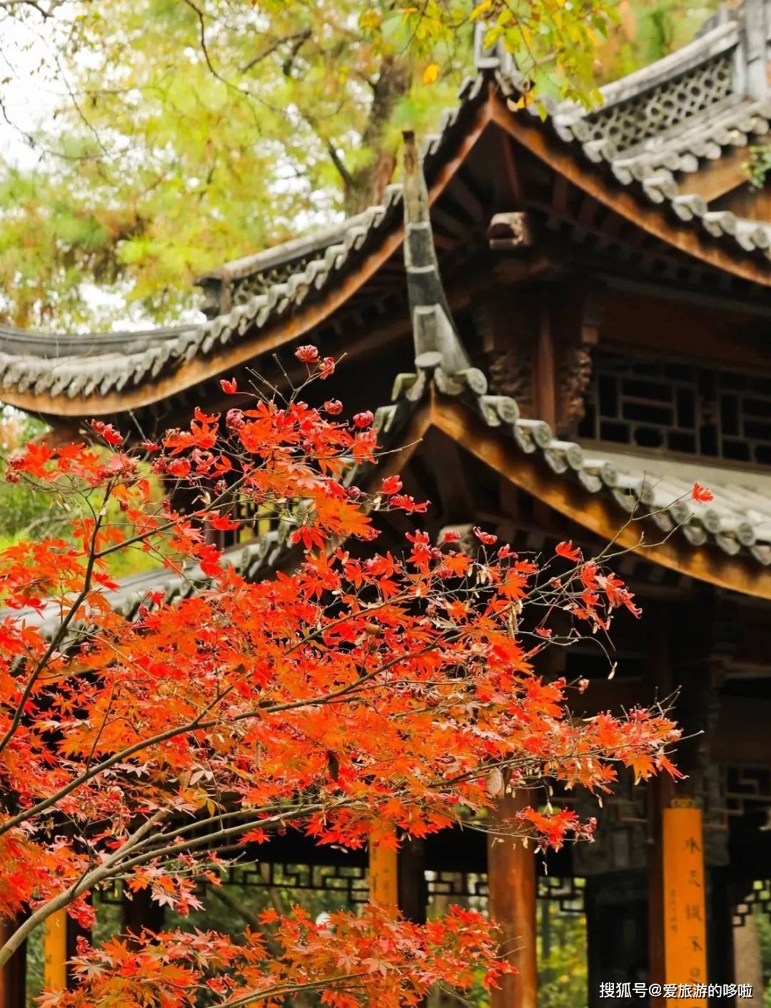 什么时候才算是秋天 2c88c85cdfa94adeab3169367c3d94ef.jpeg