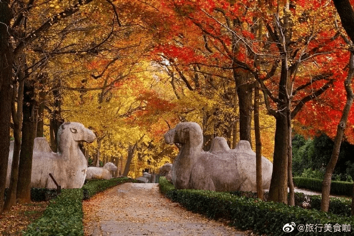 微博 秋天是一个美好的季节