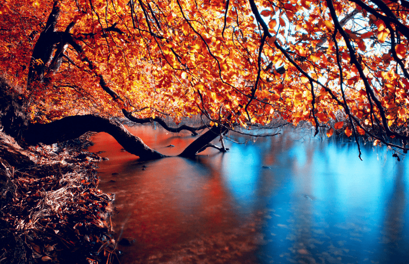 48840c71641b4a21981bf2573fe65b14.png