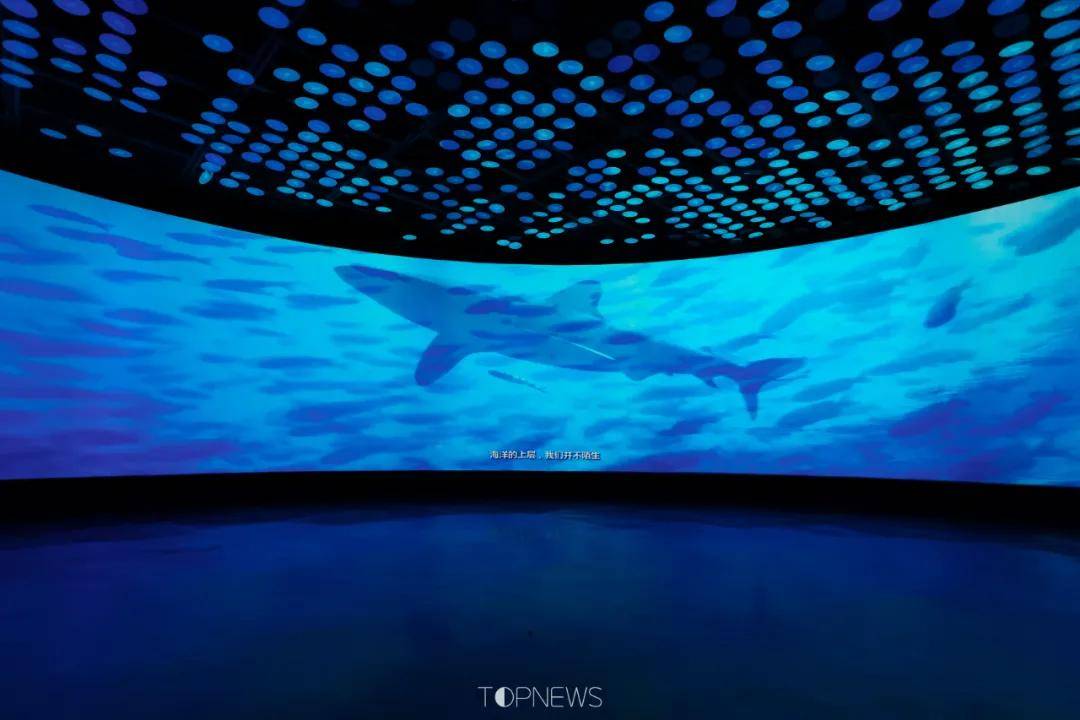 深藏BLUE！同济大学深海探索馆真的火了！