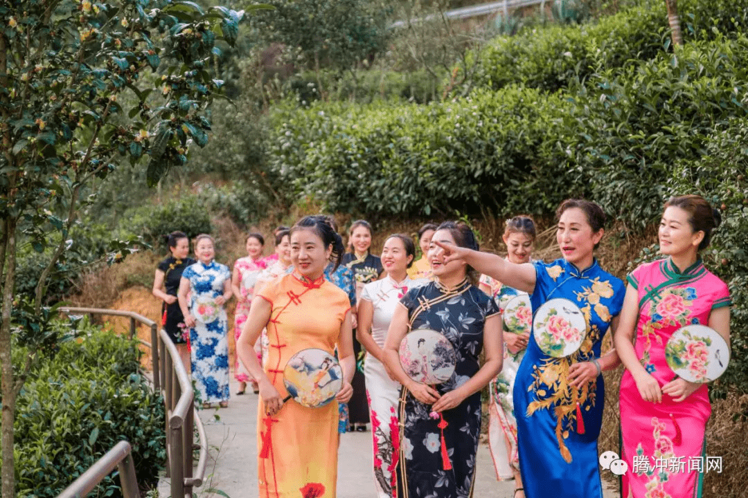 茶园|腾冲周边游丨蒲川清河又有新“趣”处