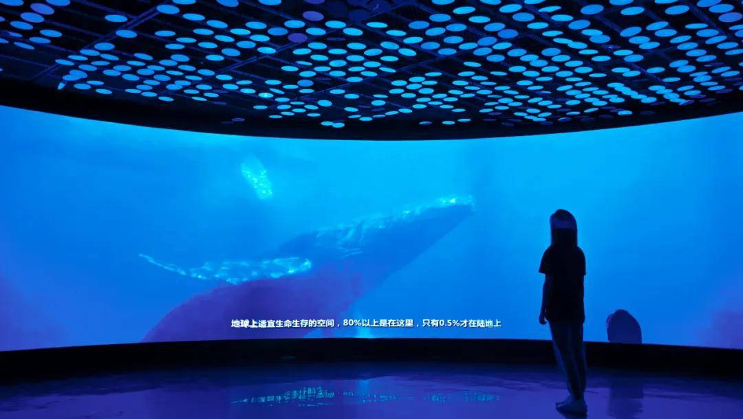 深藏BLUE！同济大学深海探索馆真的火了！