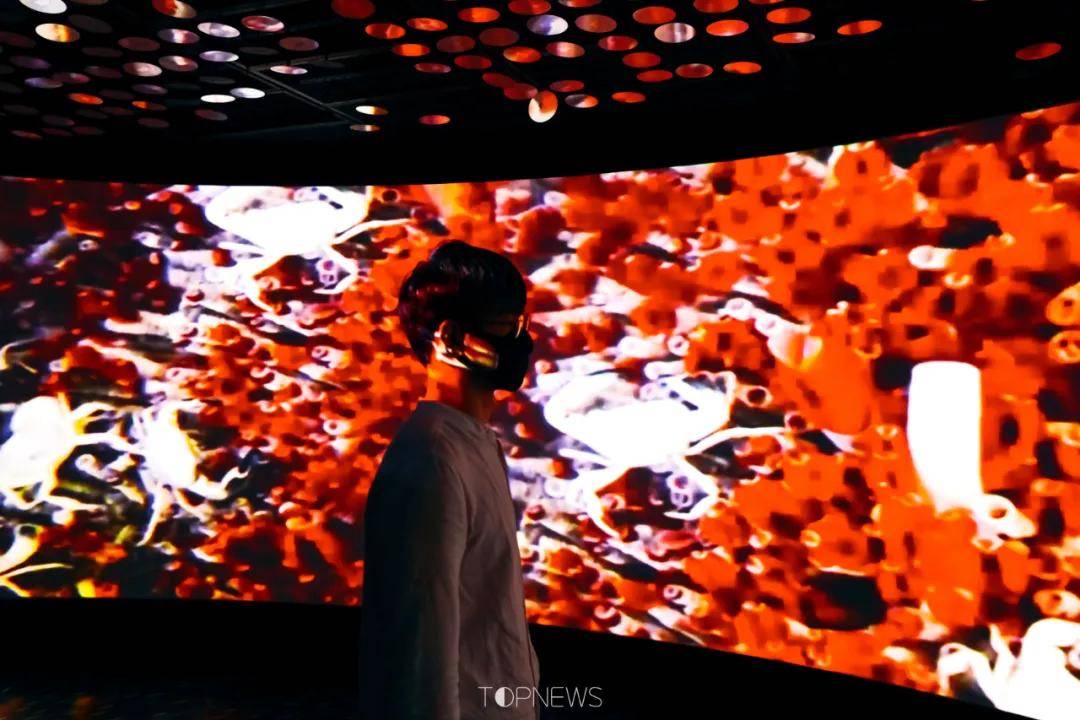 深藏BLUE！同济大学深海探索馆真的火了！