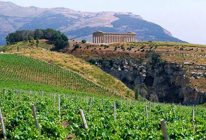 庄园|2021最新排名：西西里十佳葡萄酒庄