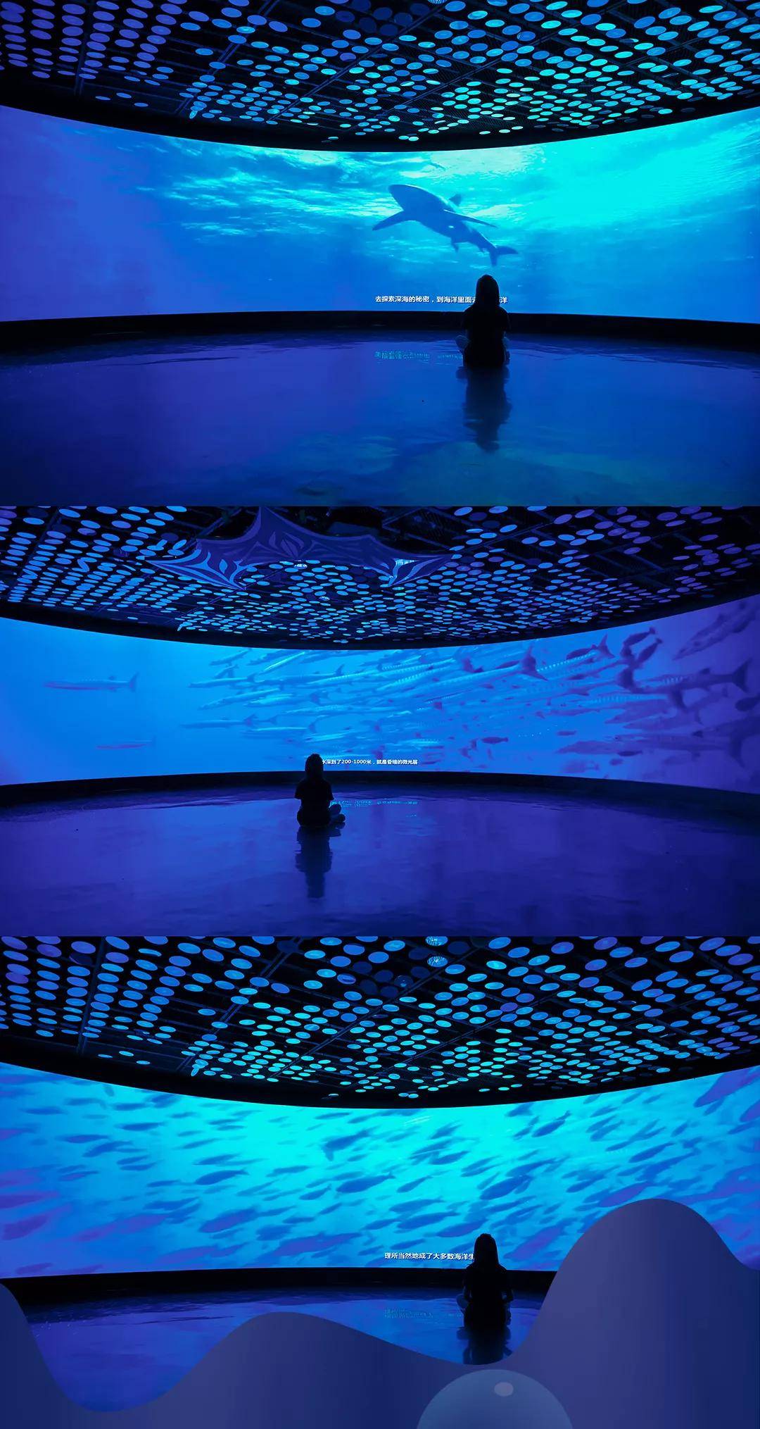 深藏BLUE！同济大学深海探索馆真的火了！