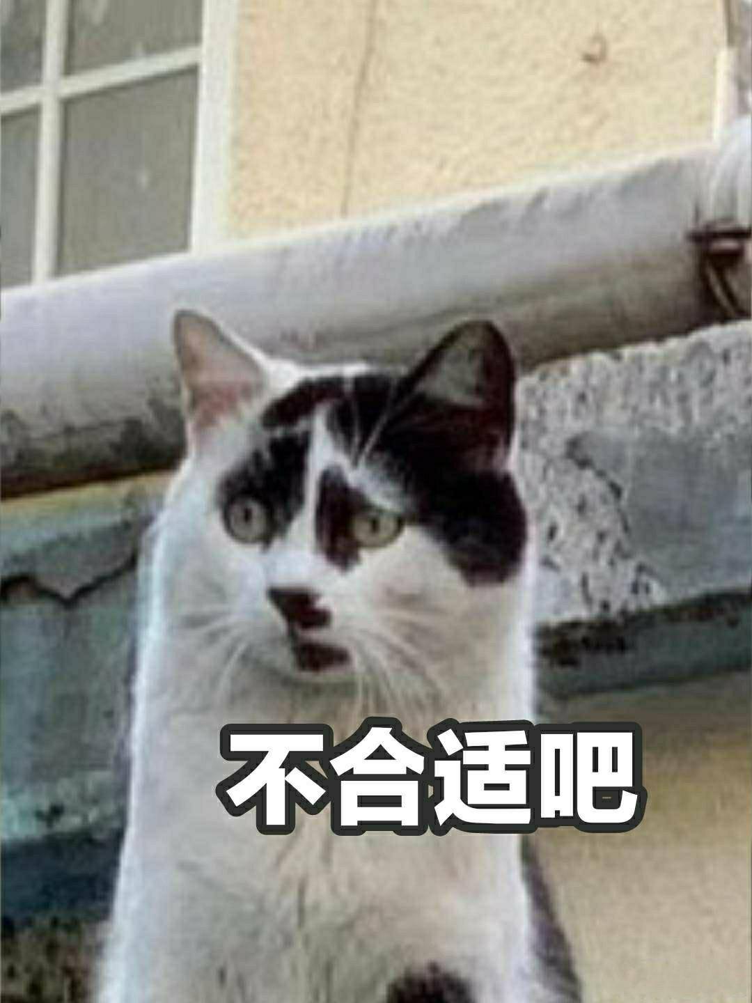 下墓|《盗墓笔记》的IP改编，何时能不被嘈？《云顶天宫》2.6分真不冤