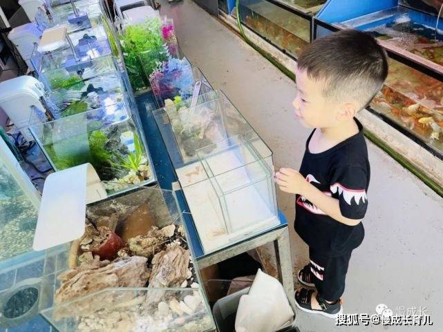 方法|分离焦虑后，入园后的第二难关，才更让咱头大……