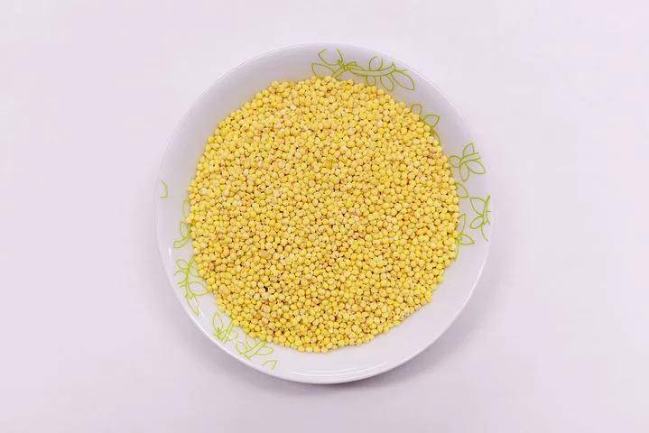 小米是一味中药