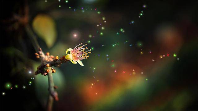 眼泪|男人疼你到发疯才会为你做这5件事儿