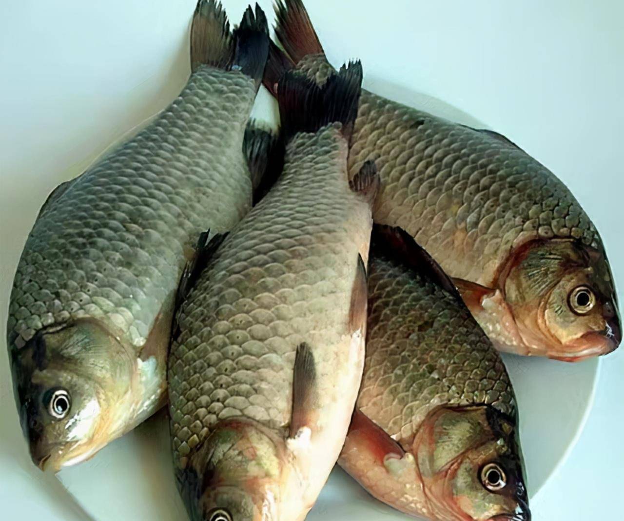 中秋家宴给您推荐8道河鲜菜随便挑几道上桌大人小孩都爱吃