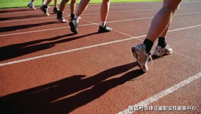 怎么增强体能耐力 be5d16d777c54f6c883b09a81e223e70.jpeg