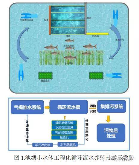 21十大引领性技术 池塘小水体工程化循环流水养殖技术 水槽 全网搜