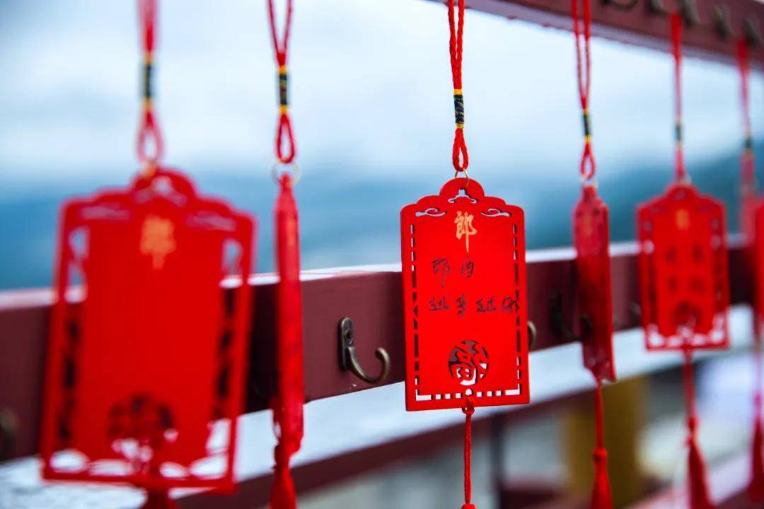 酒庄|世界酒庄郎酒庄园的重阳时间