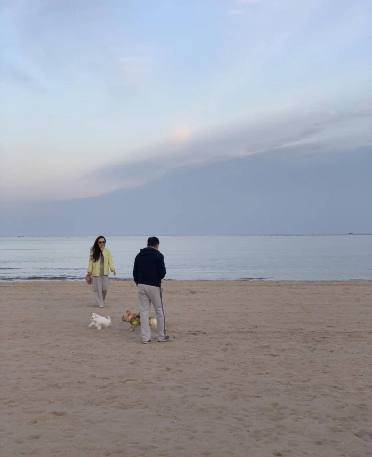 霍思燕 霍思燕海边遛狗被偷拍，穿外套拎上万包打扮似阔太，旺夫脸比老公大