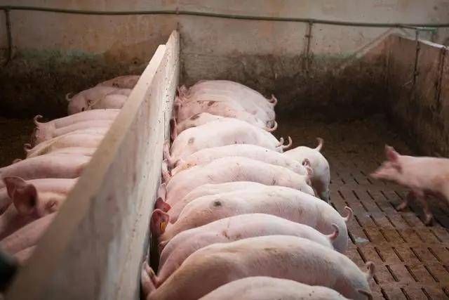 诊断|常见呼吸道疾病的诊断鉴别！