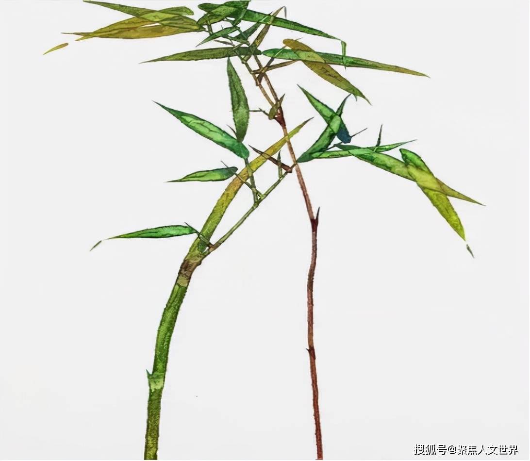 冷军用油画画竹子我是第一人中国人没人画过西方人不会画