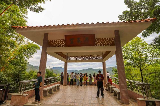 地方|雁南飞茶田，梅州5A级景区，体验茶文化的好地方