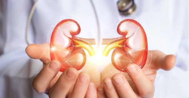 肾脏|喝水多、尿多会伤到肾脏吗？了解多喝水的好处和坏处，应适量喝水