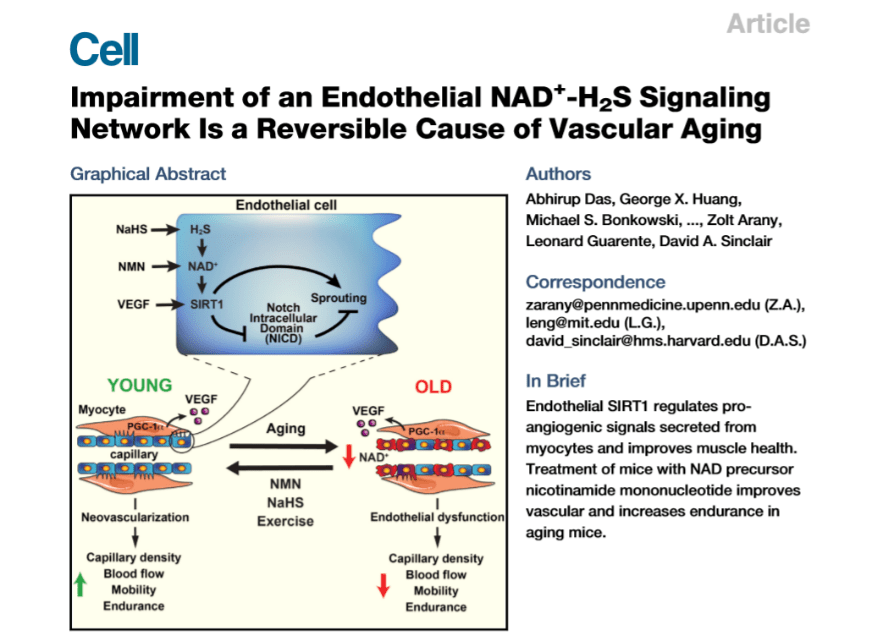 卷心菜|越复杂越没用？耶鲁团队：调节饮食和运动，8周年轻3岁！