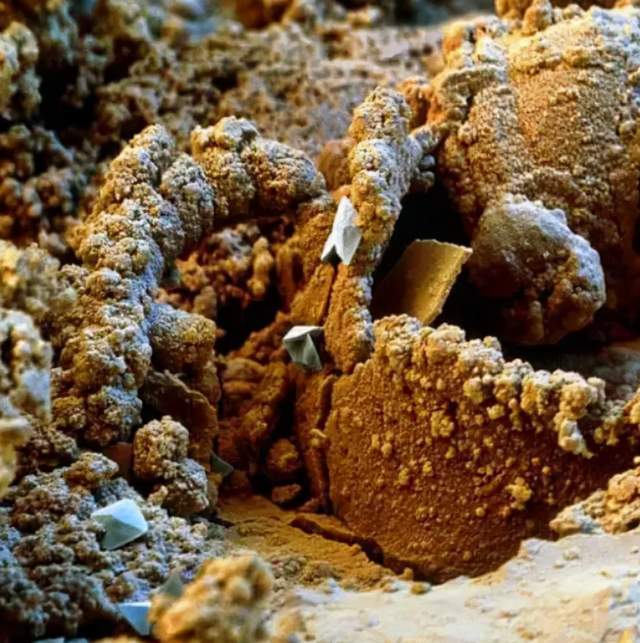 把灰尘放大几万倍后，我看到了彩色的世界