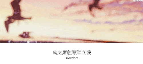 因为文案|街角的玫瑰又开了，我们私奔吧！